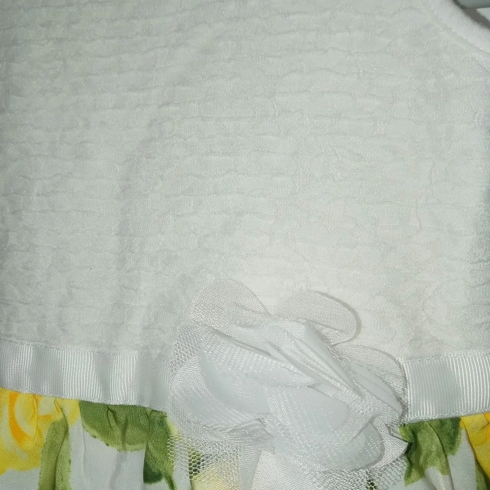 Children's Place Girls 3T sleeveless Lemon Dress with Flower satin ribbon Easter - Picture 3 of 8